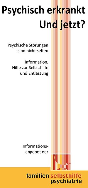 Flyer Publikationen Deckblatt